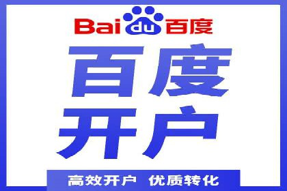 竞价广告策略案例分析